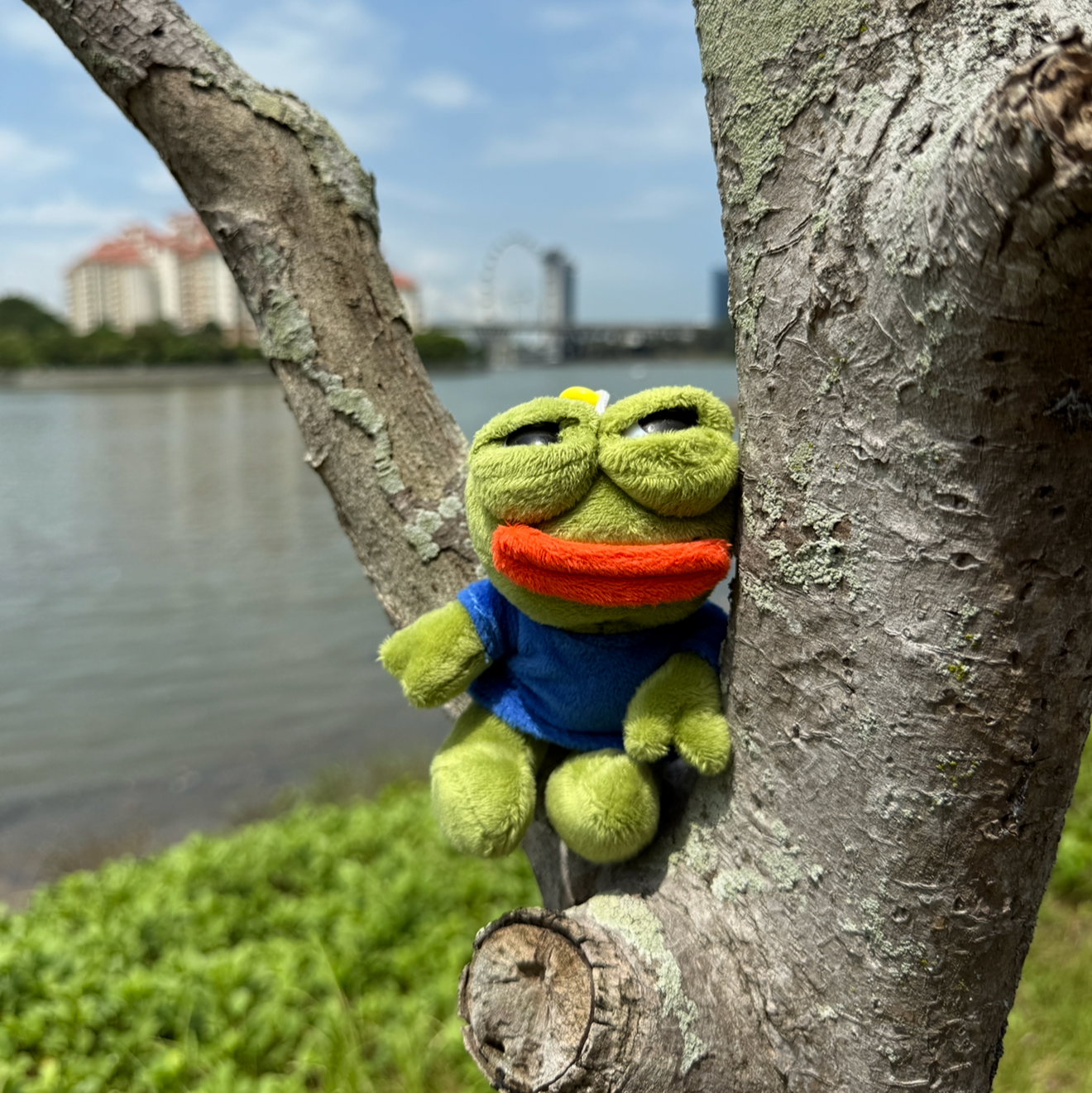 Lil Plushie Keychain