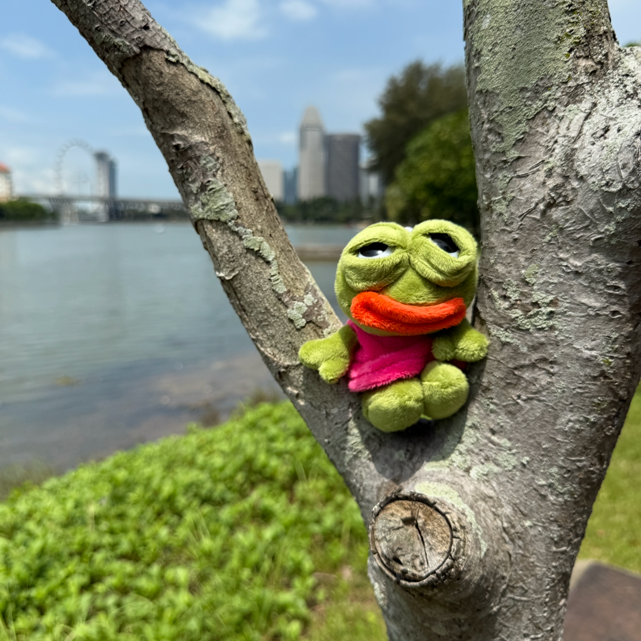 Lil Plushie Keychain