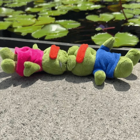 Pepe / Pinay